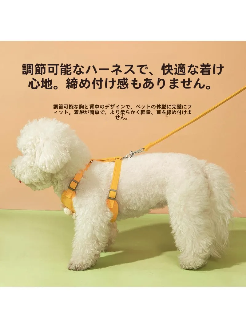ペット用小花刺繍付きハーネス：リード付きで小型犬に最適な通気性設計