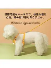 ペット用小花刺繍付きハーネス【リード付き・犬猫用・小型犬向け】