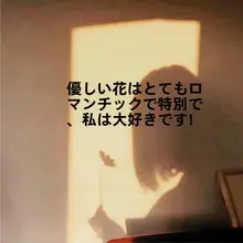 特別感を演出！手書き風励ましの言葉 壁用ステッカー【カフェ・花店・寝室用】