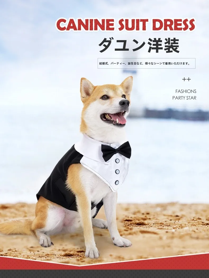 チワワ用のフォーマル犬服：蝶結び付き格子スーツの実用性とサイズガイド