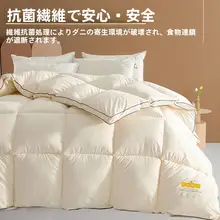 大豆繊維製 春秋用掛け布団【シングル・エコ・寝具】