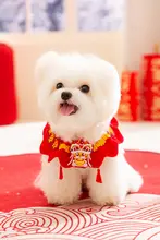 hipidog ペット首輪 マフラー スカーフ チャーム 犬 猫 お正月 迎春 飾り