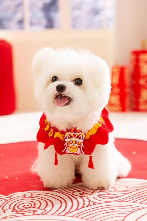 hipidog ペット首輪 マフラー スカーフ チャーム 犬 猫 お正月 迎春 飾り