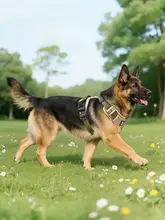 大型犬用 防爆型 ハーネス付きリード【中型犬・散歩用】