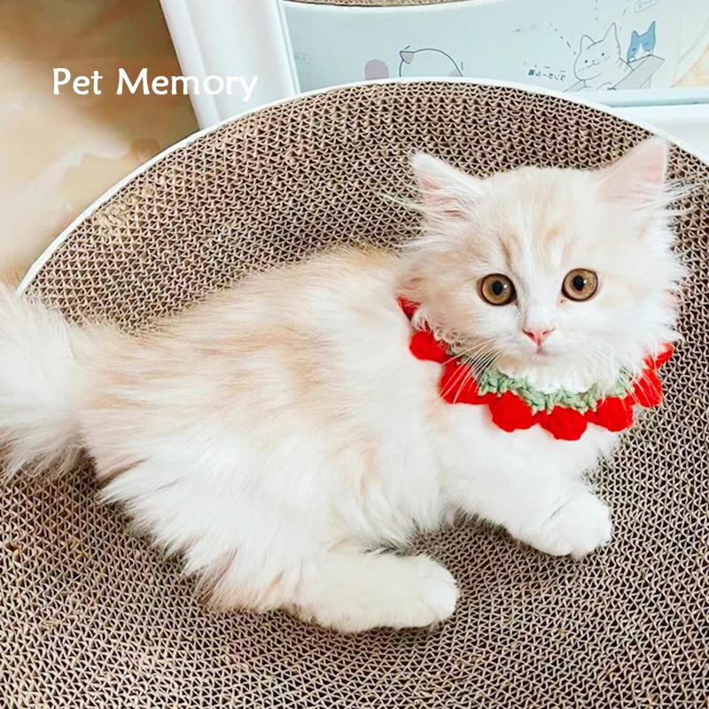 手作り編み首輪 猫犬用 花柄ニットアクセサリーの実用性と選定ガイド