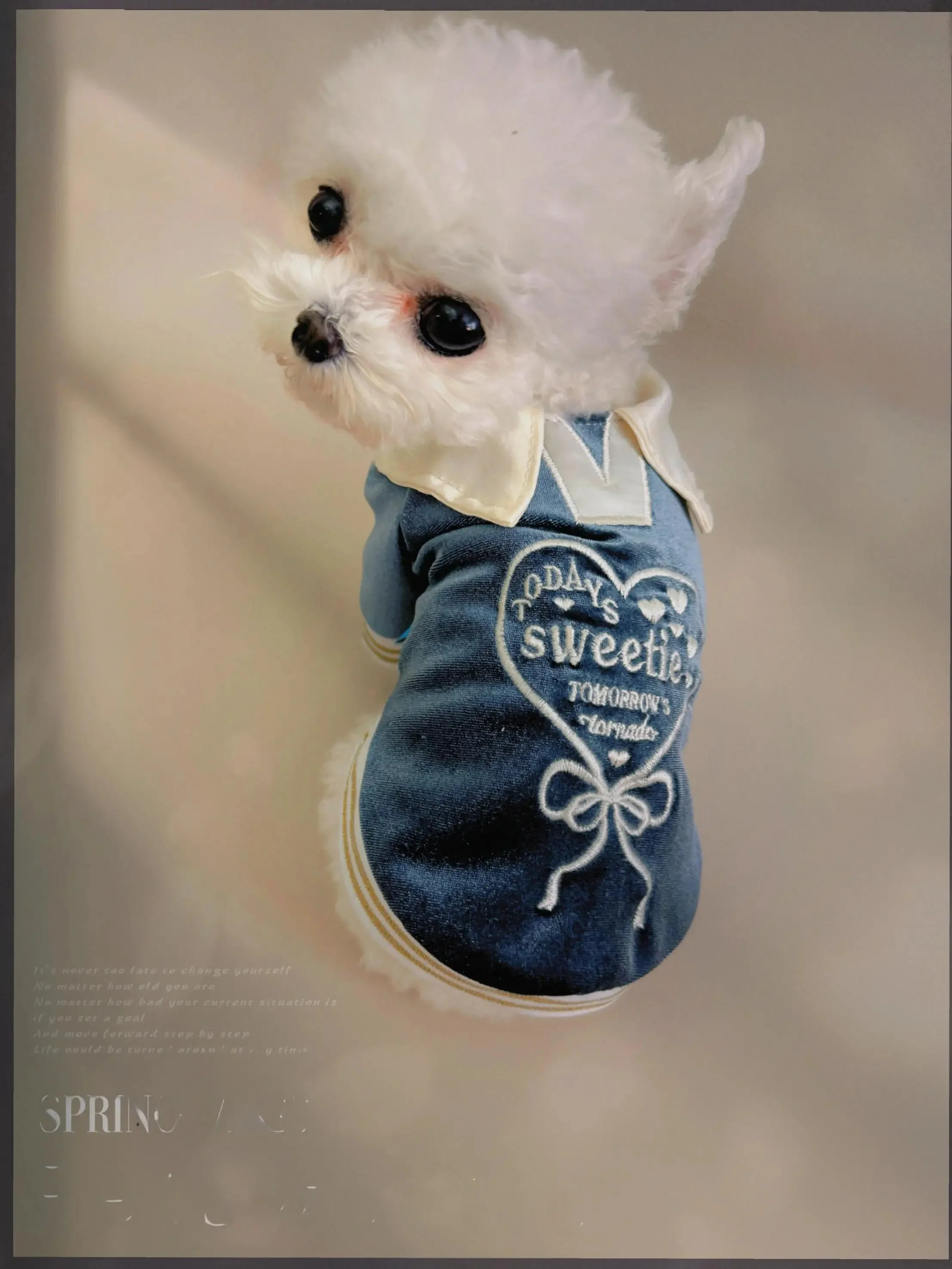 bianco cuore とは？その本質と、私たちの日常にどう取り入れるべきか