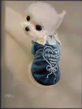 ペットウェア 小型犬 犬 猫 スウェット 襟付き ベロア ハート柄 光沢 春秋用 ペアルック