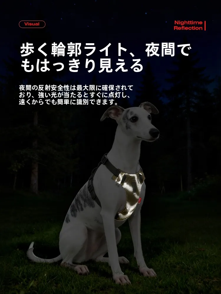胸部ハーネス付きペット用リード：耐久性とアウトドア対応の実用性を検証