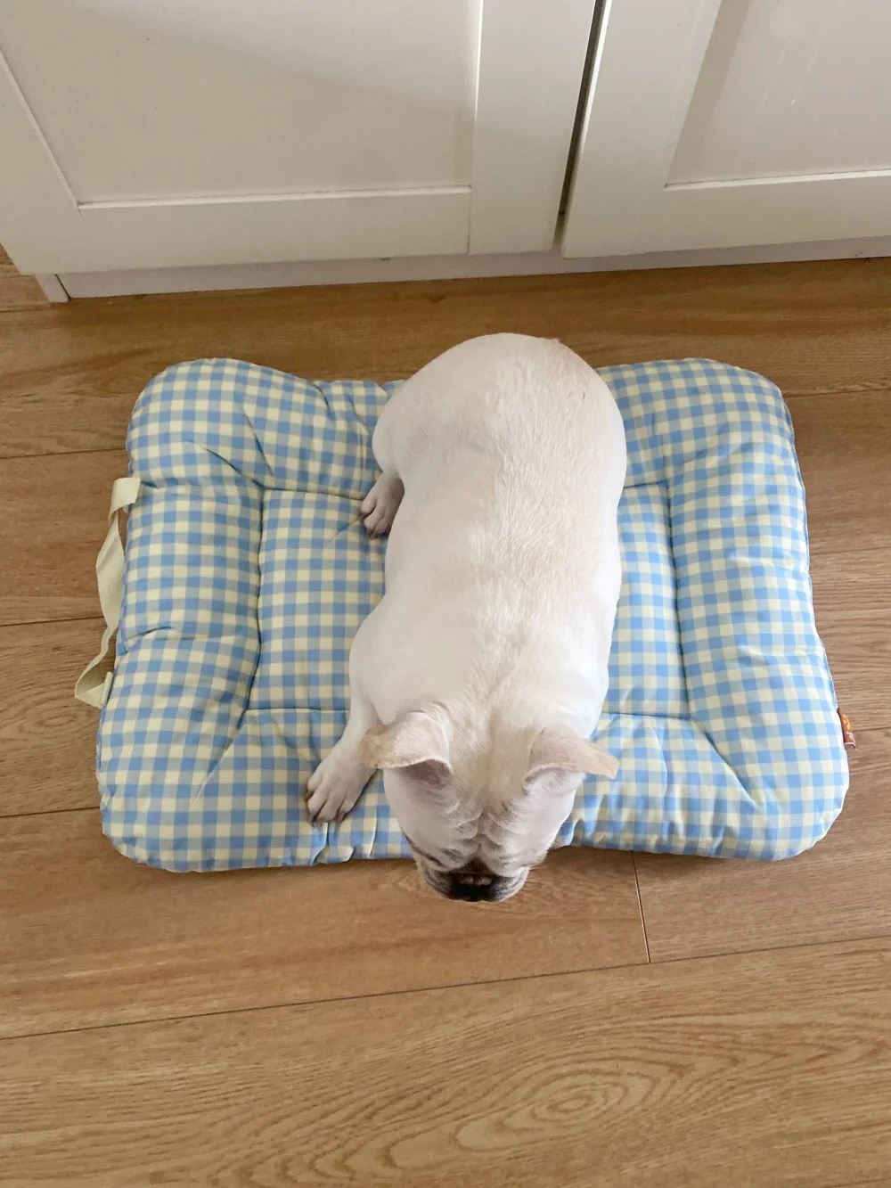 ペット用通年対応の柔らかい寝具：犬・猫用・持ち運び可能・快適