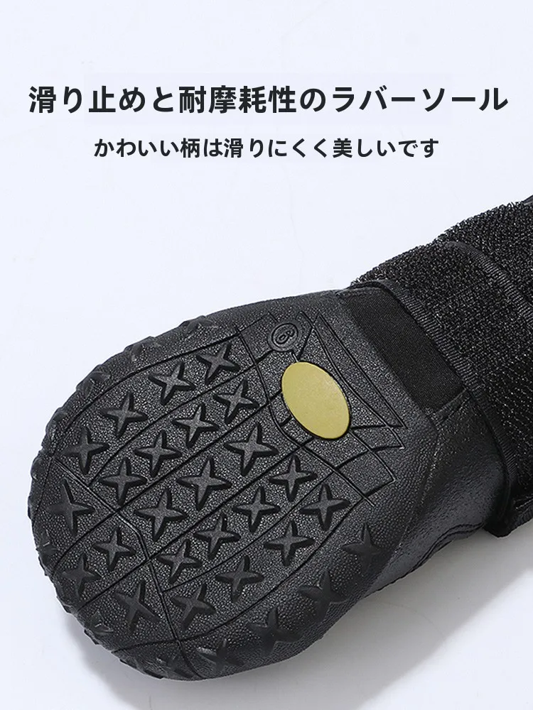 犬のお散歩グッズをコスパ良く揃える方法　完全ガイド