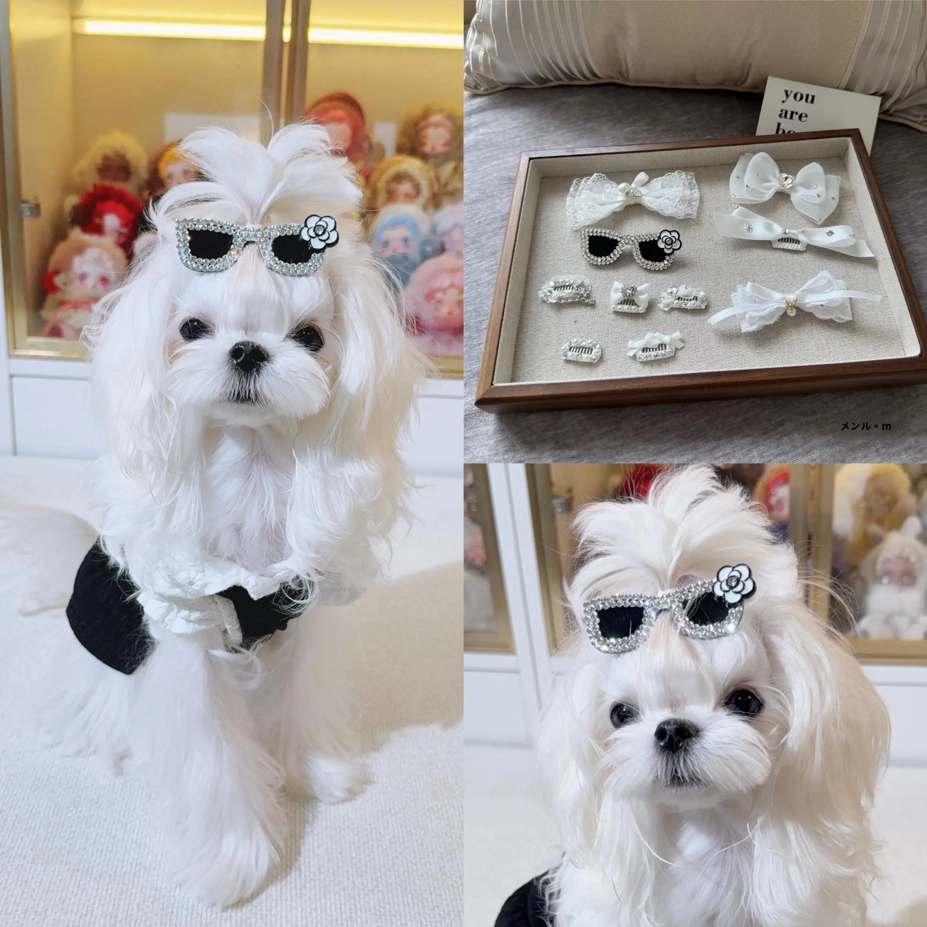 犬の毛アクセサリーとしてのヘアクリップは、多様な犬種に適応可能か？