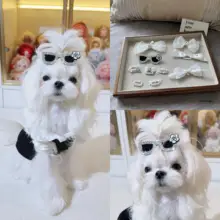 ペット用ヘアクリップ【ホワイト・犬用・ヨークシャテリア・マルチーズ・シーズー・ビションフリーゼ対応】