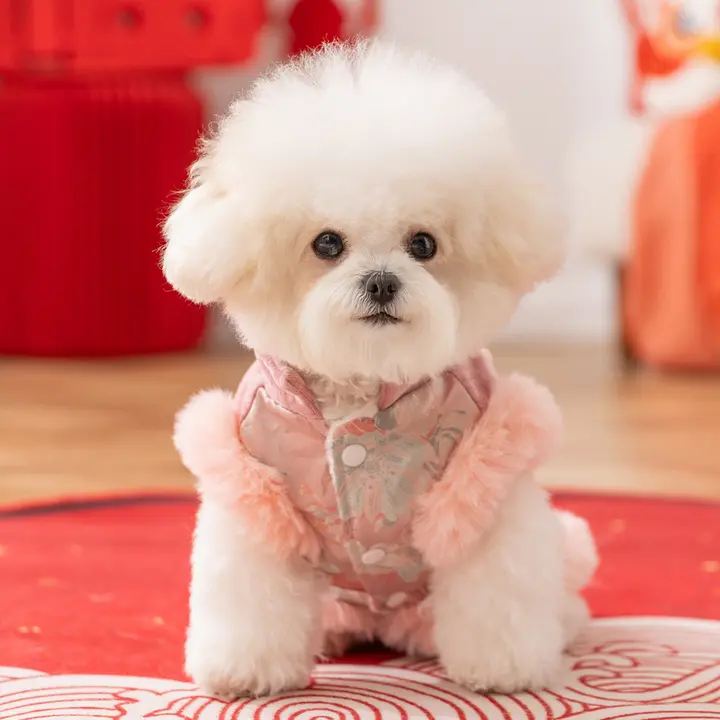 犬用冬季新年衣装【可愛い唐装・小型犬対応】
