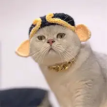 手作りニットペット帽子【猫用・犬用・お正月・カエルデザイン】