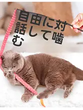 猫じゃらし ペット用品 おもちゃ 耐噛み 長い棒