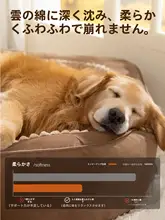 hipidog 極上の柔らかさゴールデンレトリバー用ペットベッド【冬用・大きめ・ソファタイプ】