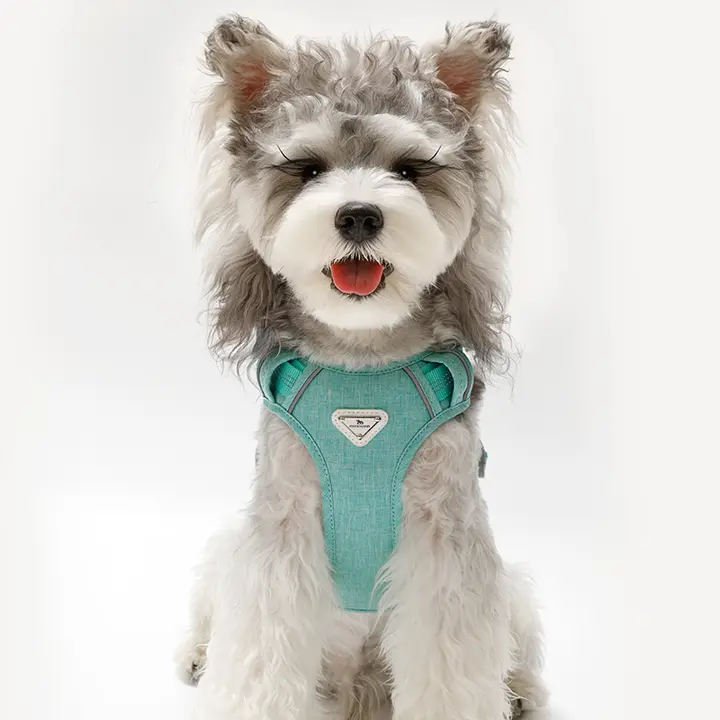 犬用ハーネス付きリード【大型犬・中型犬・小型犬対応】