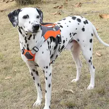 大型犬用 胸部ハーネス【アウトドア・金毛・サモエド・ブルドッグ対応】