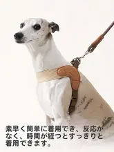 犬用軽量ハーネス【首に優しい・脱走防止・お散歩用】
