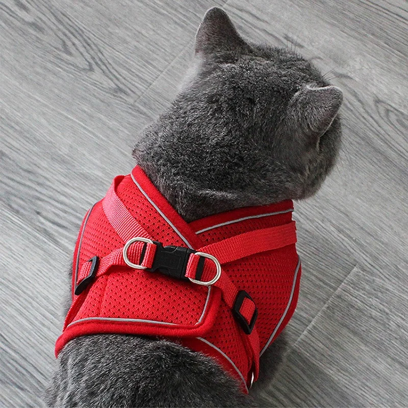猫の脱走防 止 リーシュ：災害時におけるペットの安全確保に最適な固定型防護アイテム