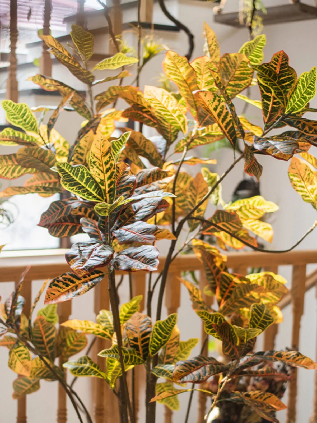 世話が苦手な人でも育てやすい観葉植物は、実は「リアルなフェイクグリーン」がベスト？
