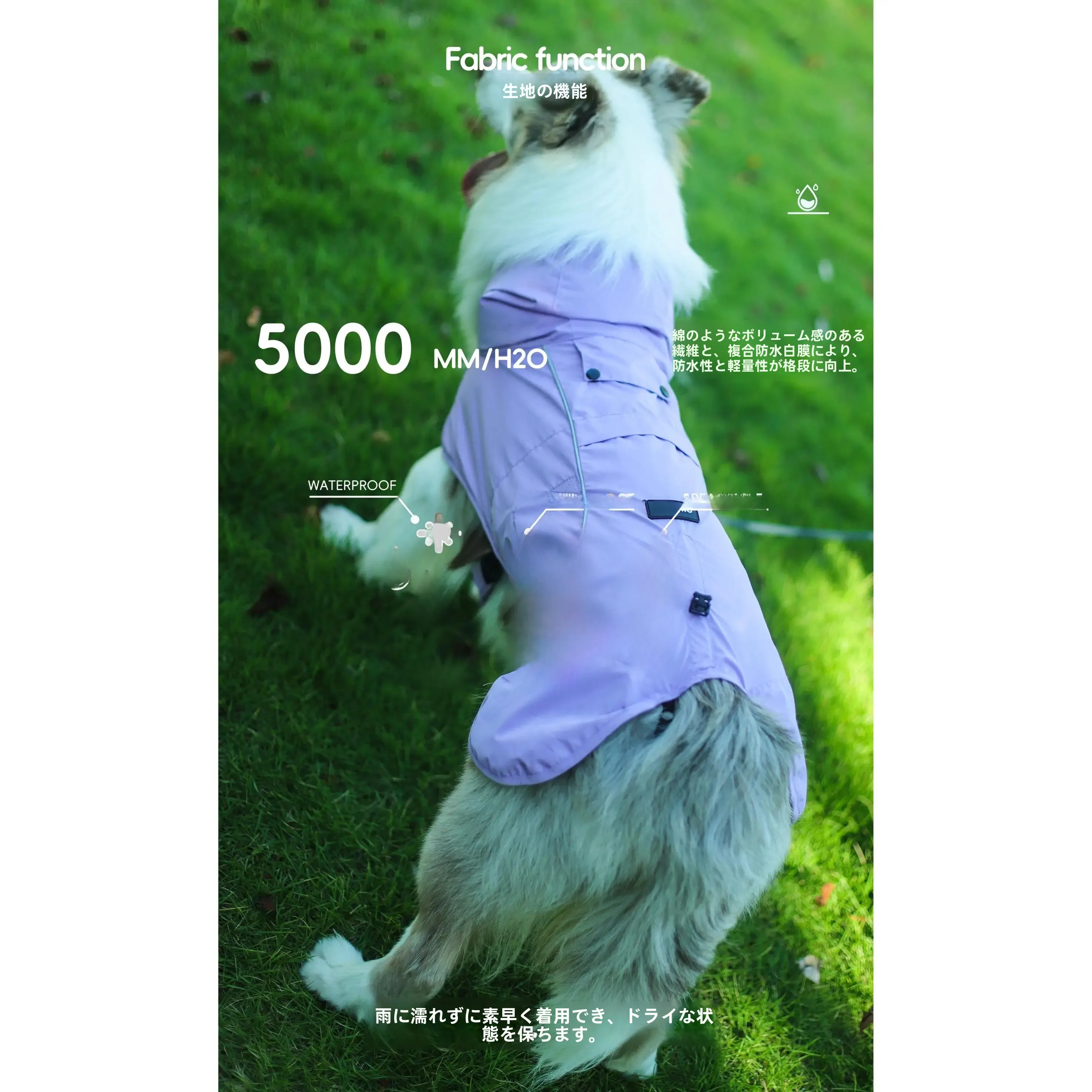 犬のお散歩グッズをコスパ良く揃え  る方法 - 分割型レインコートのサイズ・素材・使用シーン
