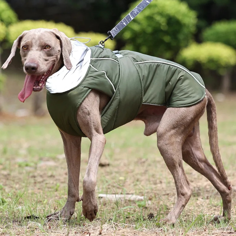 犬のお散歩グッズをコスパ良く揃える方法 - 冬用防水暖かいコートの機能的特徴