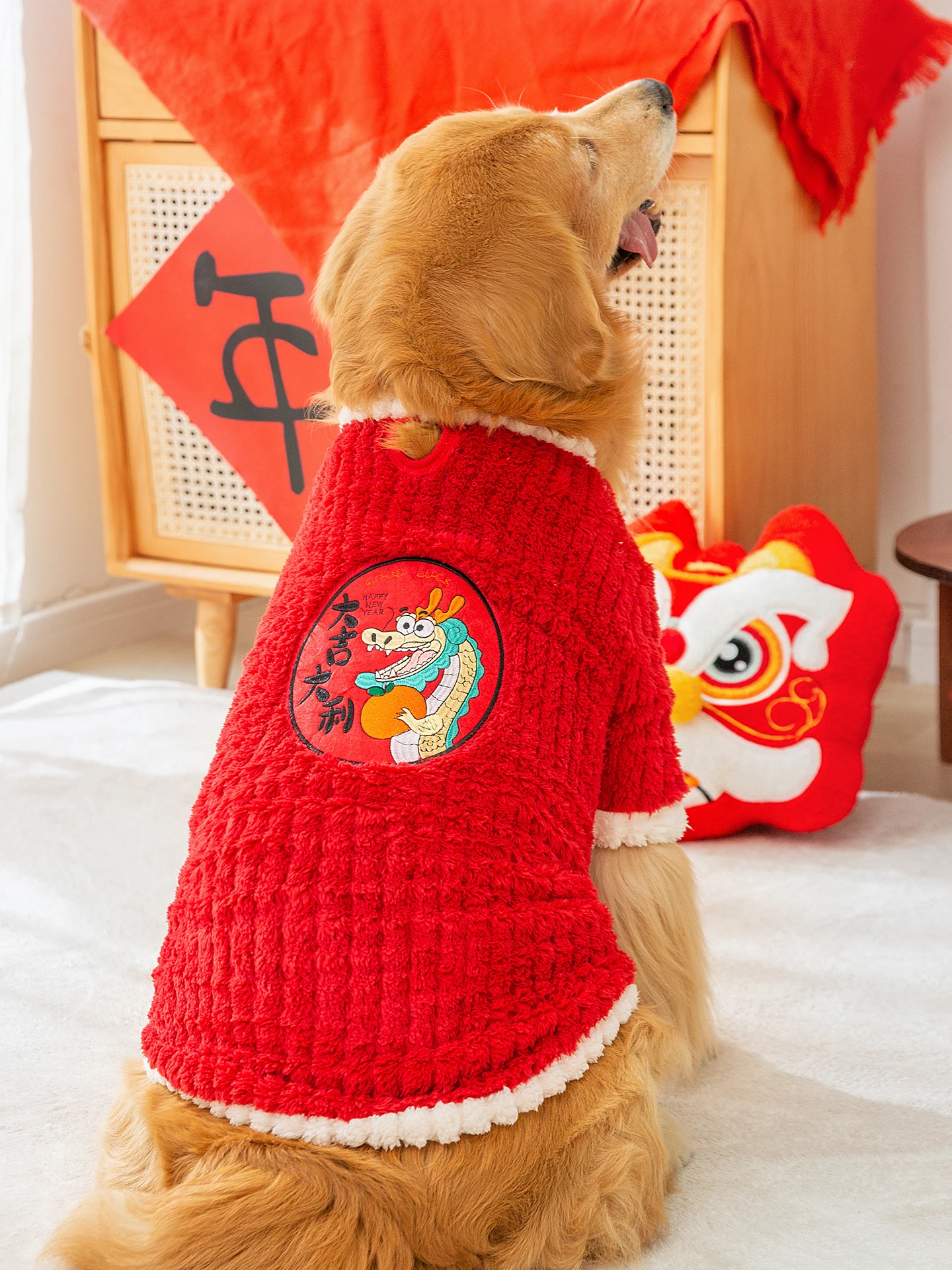 大型犬の服をどう選ぶ？冬の寒さに負けない、柴犬にぴったりのレインコートはこれ！