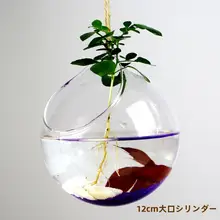 壁掛けガラス花瓶【透明・水耕栽培・アイビー向け・インテリア装飾】