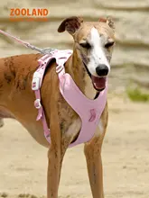 犬用 ハーネスリード【小中大型犬対応・首を締めない工字型】