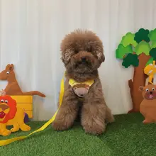 可愛い犬用ハーネスリード【ペット用・胸部装着・犬種対応】
