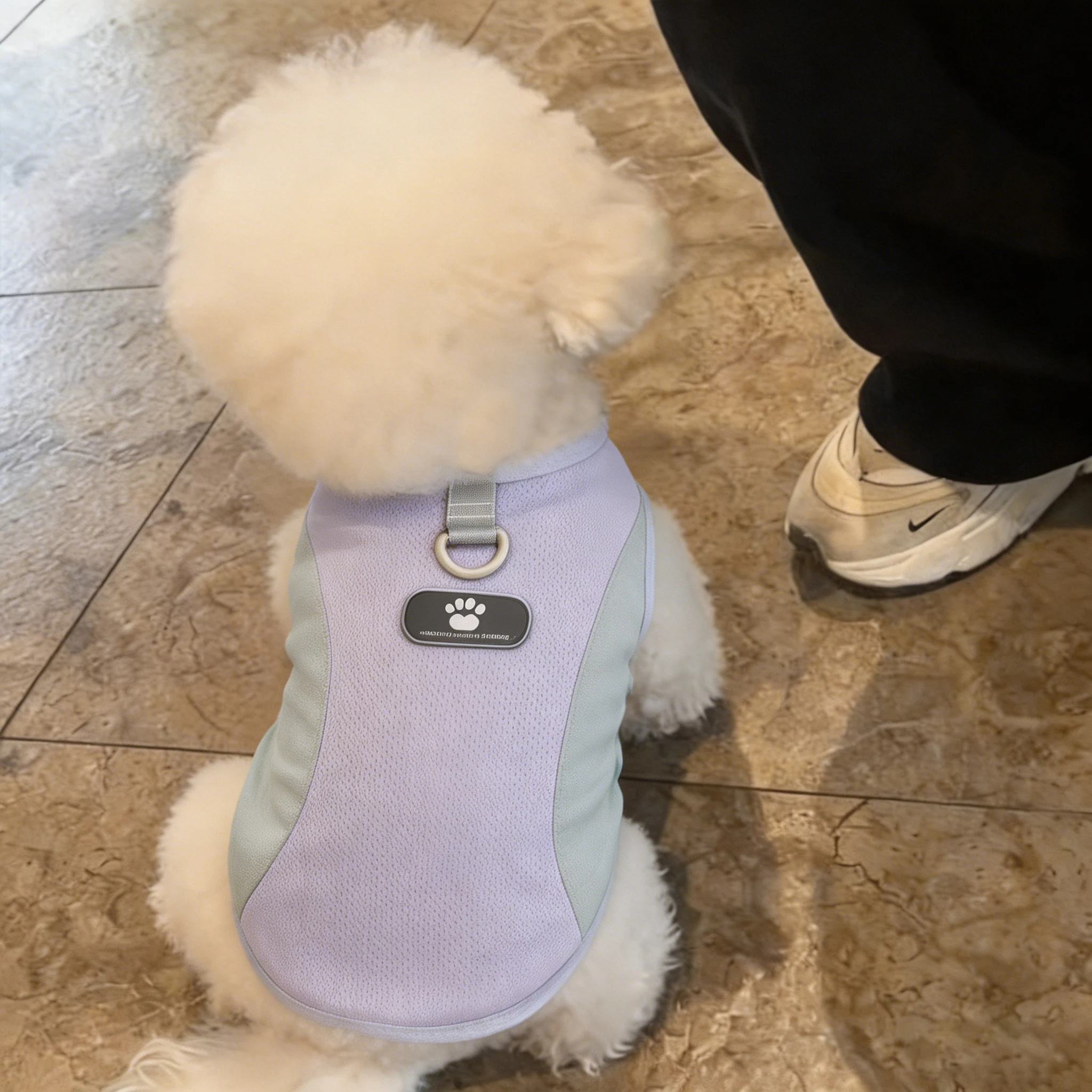 犬の夏用服はどんなもので、通気性と涼感が両立するの？