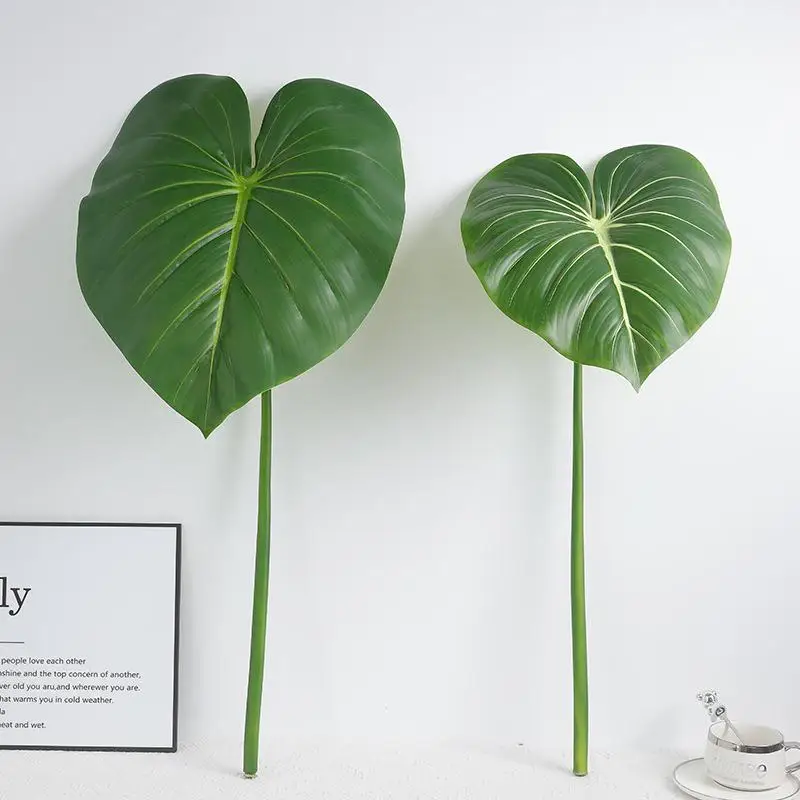 グランカクタスとは：大型単枝の亀背葉造花の実際の特徴と使用シーン