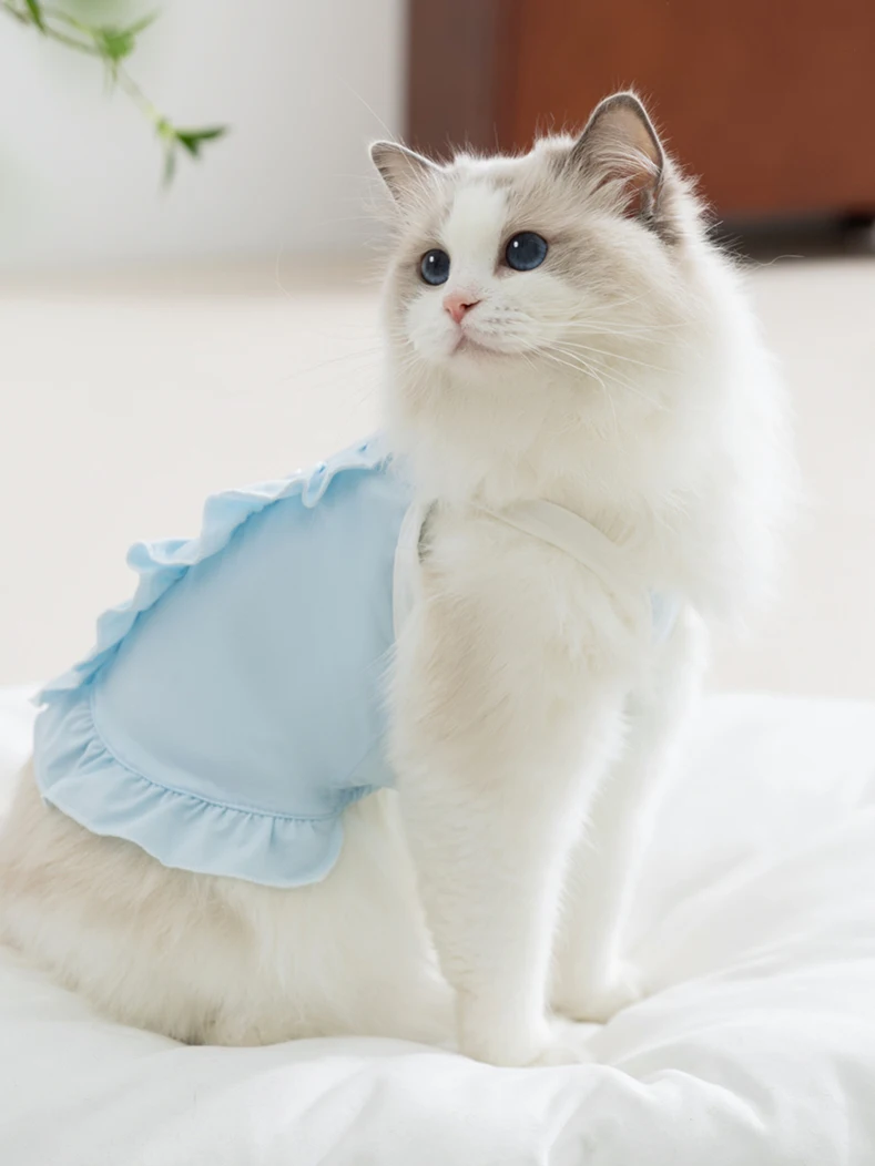 猫飼いが買ってよかったもの・悪かったもの正直に言う | 夏用薄手猫犬ペットラグドールクール服の通気性とサイズ選定