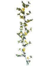 造花 ツル植物 サンビタリア 垂れ下がる 這う 壁掛け インテリア デコレーション フラワーアレンジメント