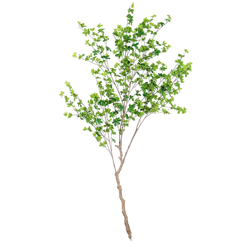 韓国インテリアを再現｜カフェ風部屋の作り方　吊り鐘風グリーン植物の役割とレイアウトガイド