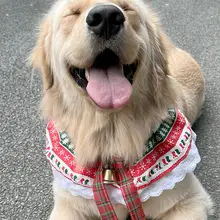 クリスマス用 犬用スカーフ【中型・大型犬用・鈴飾り付き】