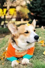 秋冬用の暖かい六角ペットベッド【洗える・猫と小型犬対応】