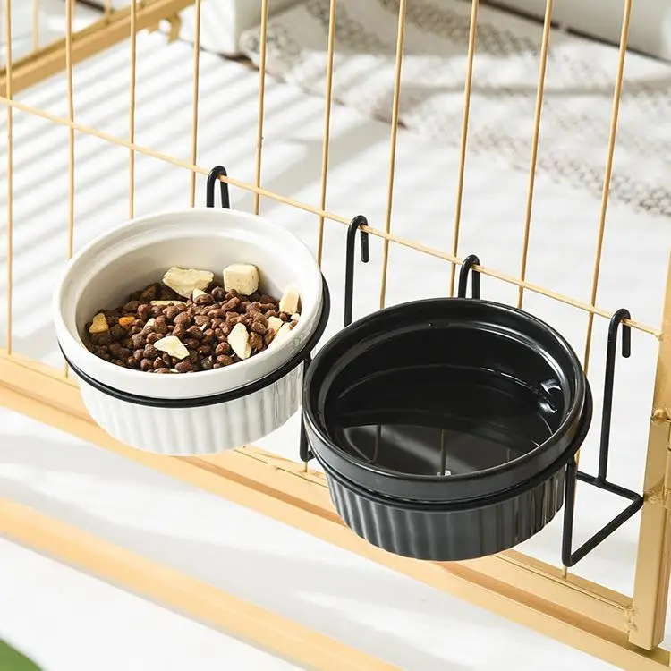 猫の食器選びで悩むなら、この セラミックボウルが本当に救ってくれる？