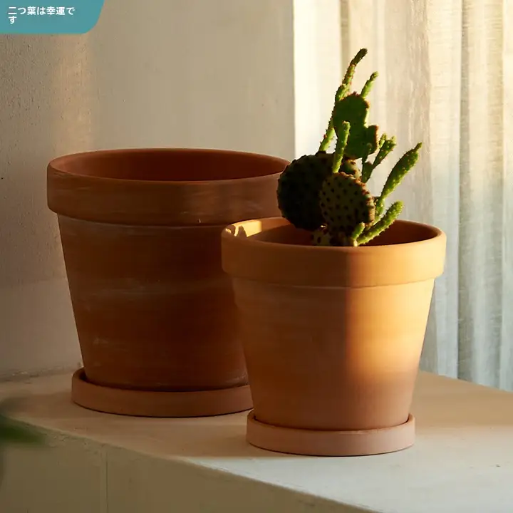 二葉デザインの赤陶製花鉢【観葉植物・大サイズ・通気性・吸水性】