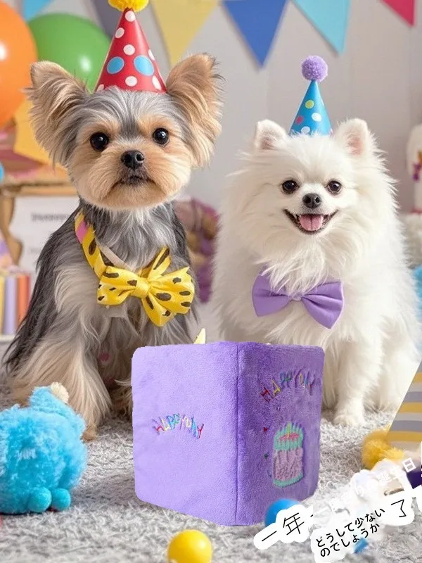 ペット用誕生日ケーキ帽子：犬猫用の可愛いデザインでパーティーを彩る