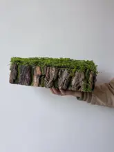木製の苔付き花盆【DIY・ツリーストーン・インテリア装飾】
