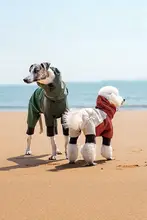 犬用レインコート【全身カバー・腹部保護・中小型犬対応】