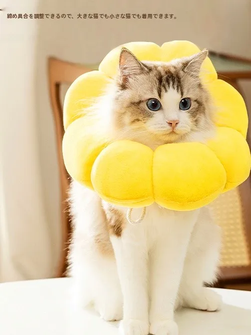 猫飼いが買ってよかったもの・悪かったもの正直に言う｜エリザベスカラーの実測ガイド