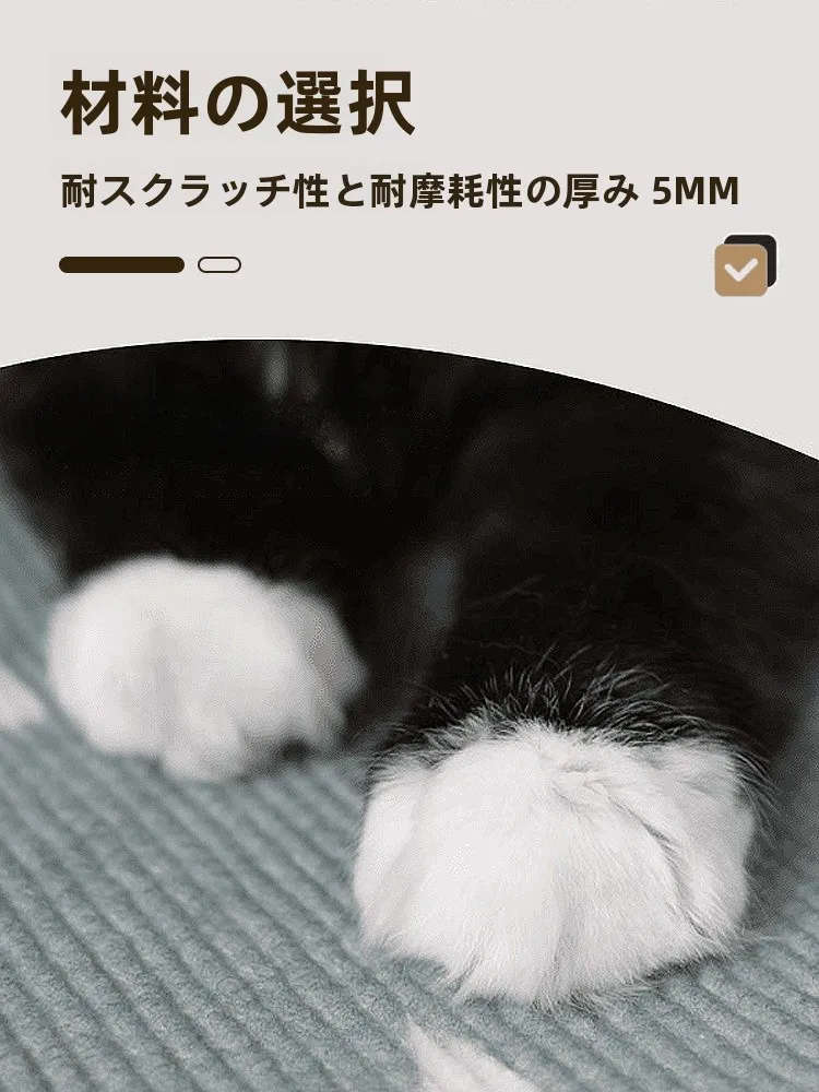 猫が壁に爪をついてしまうのを防ぐには？VOAのキャットスクラッチボードが解決するリアルな悩み