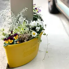 コーナー用シンプル花盆【室内・バルコニー・観葉植物用】