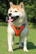 犬用ハーネスリード【防爆設計・胸部サポート・小型中型大型犬用】