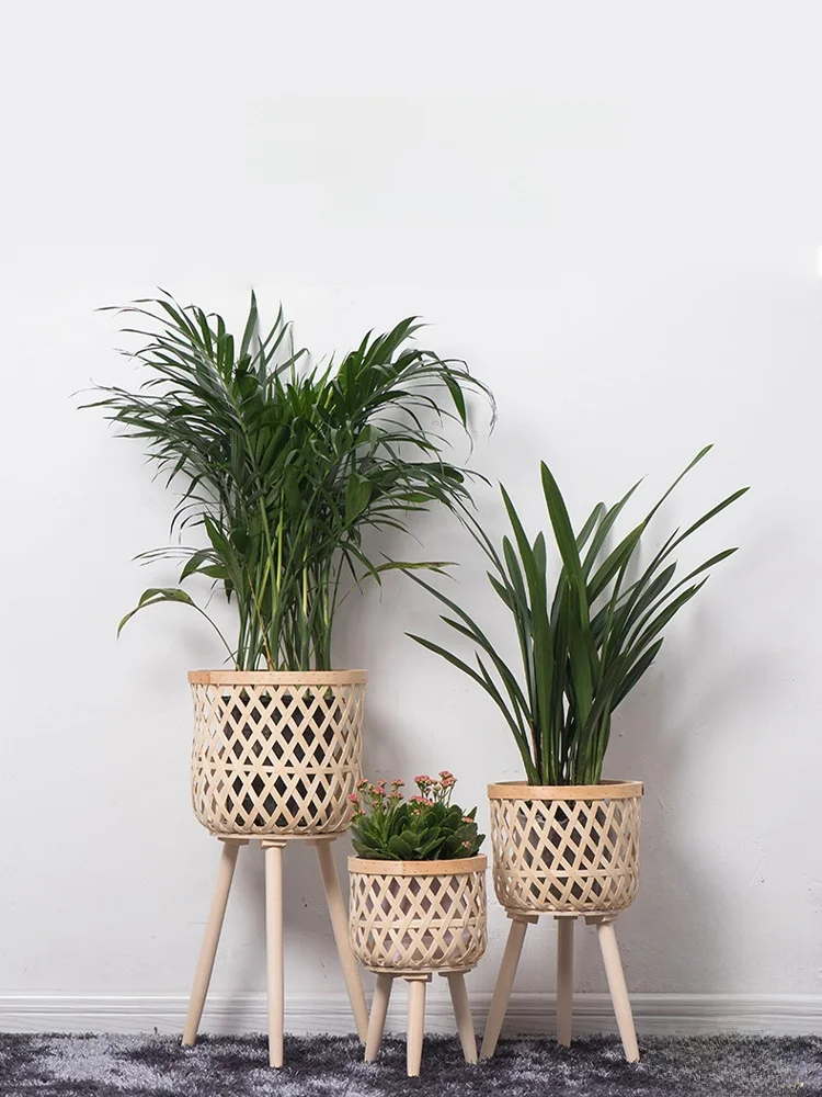 観葉植物の鉢を選ぶときに迷うなら、これで解決！シンプルで洗練されたデザインが今、注目されている理由