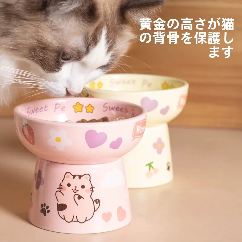 猫 ウォーター ボウル おすすめ5選：  なぜこの形・この素材が猫に好まれるのか？
