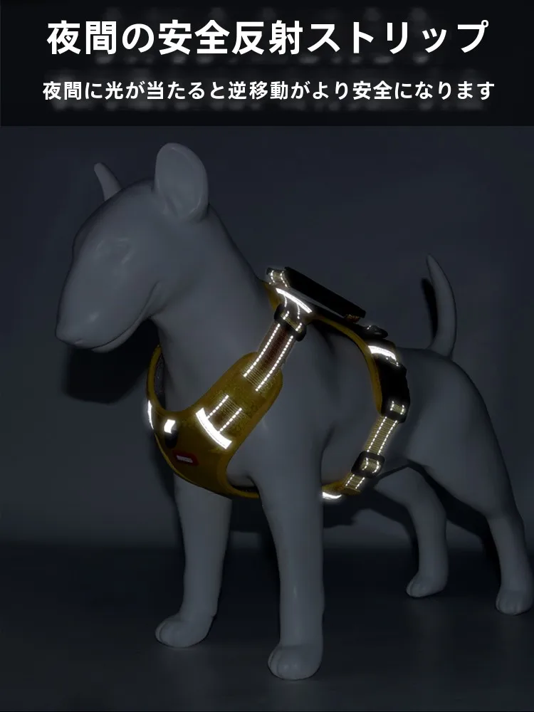 犬のお散歩グッズをコスパ良く揃える方法｜胸部ハーネスリードの実用性と安全性徹底解説